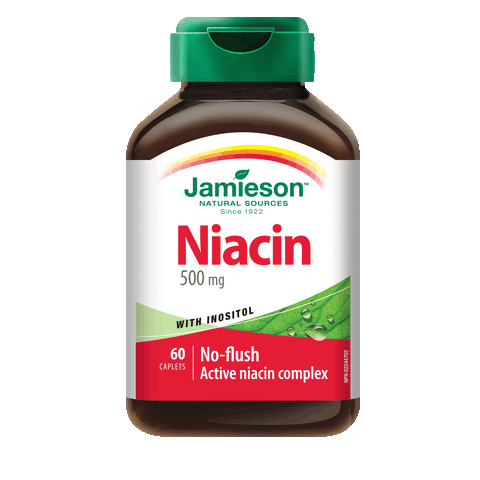 Niacin 500 mg with Inositol — Flush Free Formula, 60 caplets